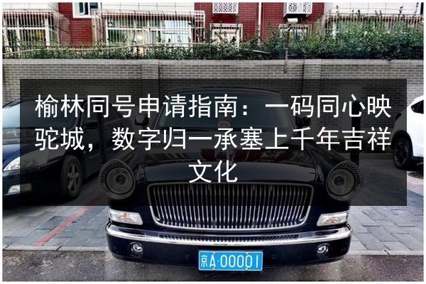榆林同号申请指南:一码同心映驼城,数字归一承塞上千年吉祥文化 第2张 榆林同号申请指南:一码同心映驼城,数字归一承塞上千年吉祥文化 第2张
