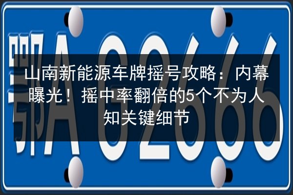 山南新能源车牌摇号攻略：内幕曝光！摇中率翻倍的5个不为人知关键细节