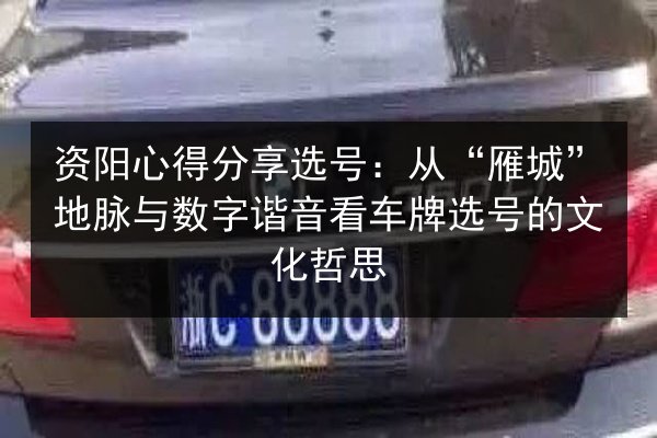 资阳心得分享选号：从“雁城”地脉与数字谐音看车牌选号的文化哲思 第2张