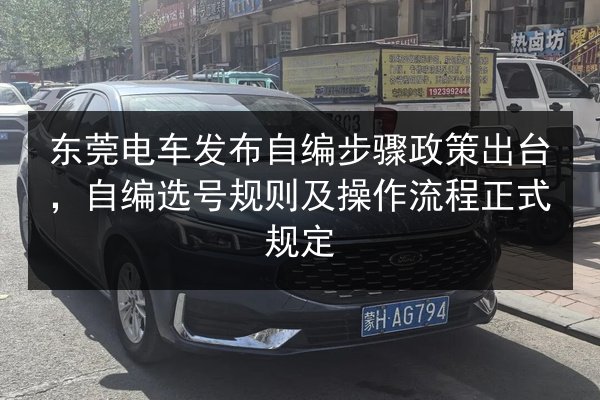 东莞电车发布自编步骤政策出台,自编选号规则及操作流程正式规定 第2张 东莞电车发布自编步骤政策出台,自编选号规则及操作流程正式规定 第2张