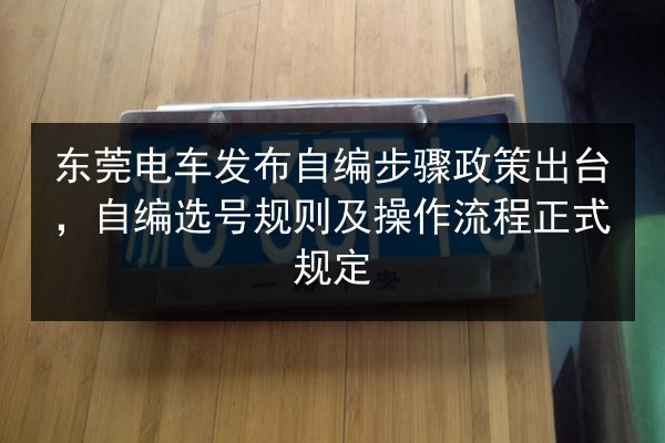 东莞电车发布自编步骤政策出台,自编选号规则及操作流程正式规定 第3张 东莞电车发布自编步骤政策出台,自编选号规则及操作流程正式规定 第3张