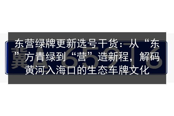 东营绿牌更新选号干货：从“东”方青绿到“营”造新程，解码黄河入海口的生态车牌文化