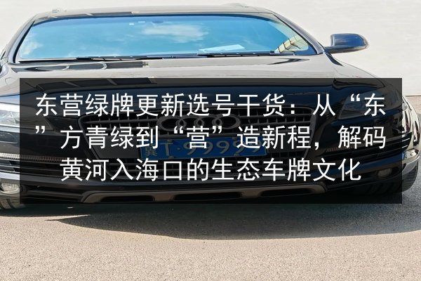 东营绿牌更新选号干货:从“东”方青绿到“营”造新程,解码黄河入海口的生态车牌文化 第2张 东营绿牌更新选号干货:从“东”方青绿到“营”造新程,解码黄河入海口的生态车牌文化 第2张