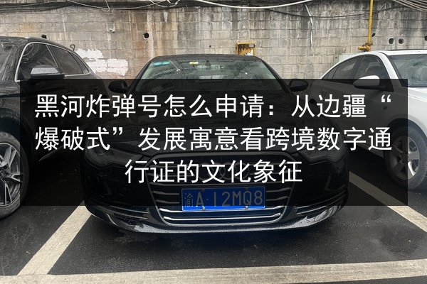 黑河炸弹号怎么申请:从边疆“爆破式”发展寓意看跨境数字通行证的文化象征 第2张 黑河炸弹号怎么申请:从边疆“爆破式”发展寓意看跨境数字通行证的文化象征 第2张
