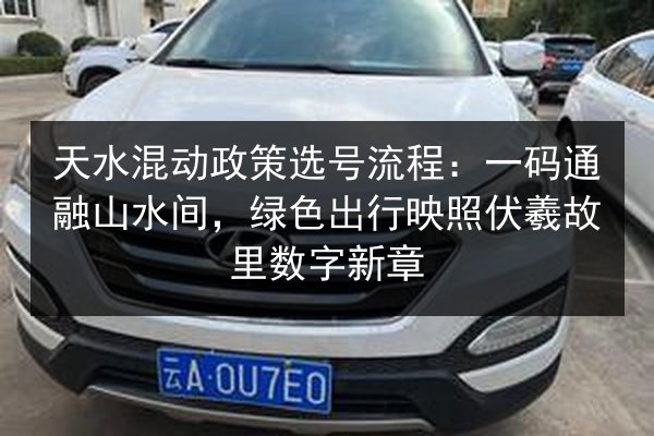 天水混动政策选号流程：一码通融山水间，绿色出行映照伏羲故里数字新章