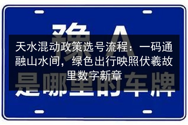 天水混动政策选号流程:一码通融山水间,绿色出行映照伏羲故里数字新章 第3张 天水混动政策选号流程:一码通融山水间,绿色出行映照伏羲故里数字新章 第3张