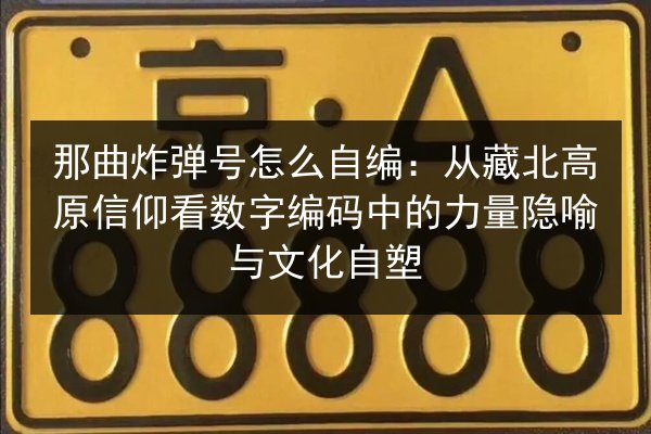 那曲炸弹号怎么自编：从藏北高原信仰看数字编码中的力量隐喻与文化自塑 第2张