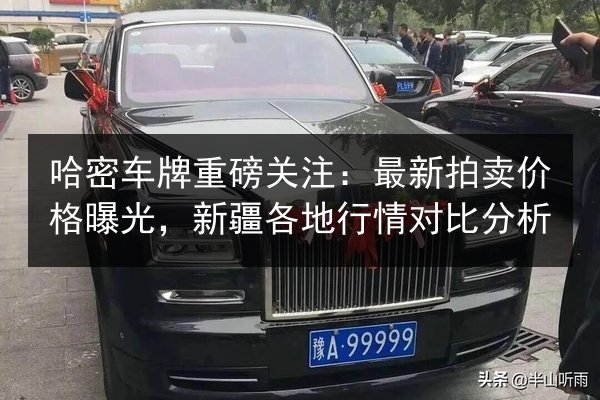哈密车牌重磅关注：最新拍卖价格曝光，新疆各地行情对比分析