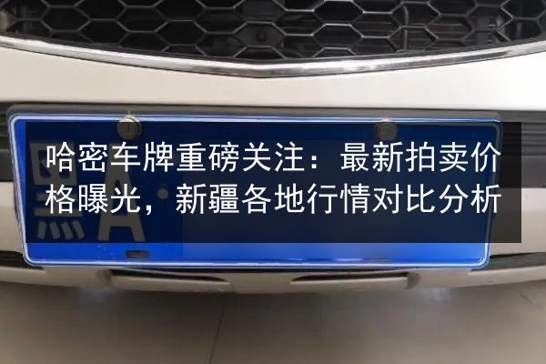 哈密车牌重磅关注:最新拍卖价格曝光,新疆各地行情对比分析 第2张 哈密车牌重磅关注:最新拍卖价格曝光,新疆各地行情对比分析 第2张