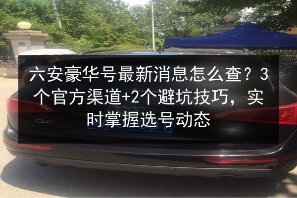 六安豪华号最新消息怎么查？3个官方渠道+2个避坑技巧，实时掌握选号动态