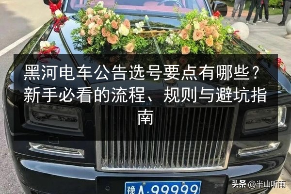 黑河电车公告选号要点有哪些?新手必看的流程、规则与避坑指南 第2张 黑河电车公告选号要点有哪些?新手必看的流程、规则与避坑指南 第2张