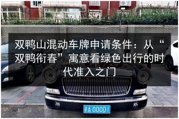 双鸭山混动车牌申请条件：从“双鸭衔春”寓意看绿色出行的时代准入之门