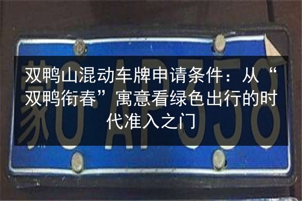 双鸭山混动车牌申请条件:从“双鸭衔春”寓意看绿色出行的时代准入之门 第2张 双鸭山混动车牌申请条件:从“双鸭衔春”寓意看绿色出行的时代准入之门 第2张