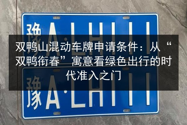 双鸭山混动车牌申请条件:从“双鸭衔春”寓意看绿色出行的时代准入之门 第3张 双鸭山混动车牌申请条件:从“双鸭衔春”寓意看绿色出行的时代准入之门 第3张