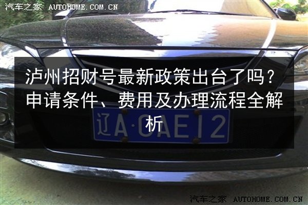 泸州招财号最新政策出台了吗？申请条件、费用及办理流程全解析