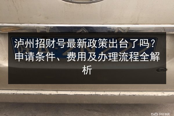 泸州招财号最新政策出台了吗？申请条件、费用及办理流程全解析 第2张
