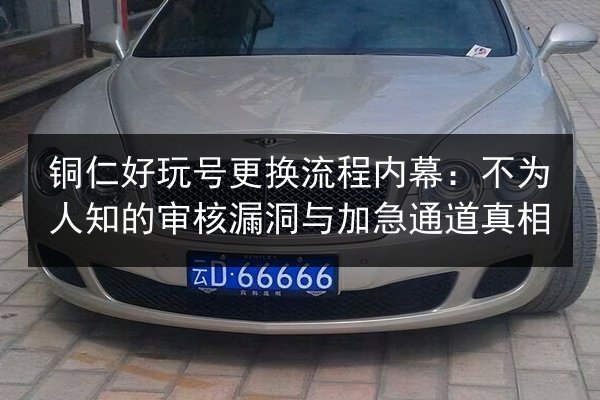 铜仁好玩号更换流程内幕:不为人知的审核漏洞与加急通道真相 第2张 铜仁好玩号更换流程内幕:不为人知的审核漏洞与加急通道真相 第2张