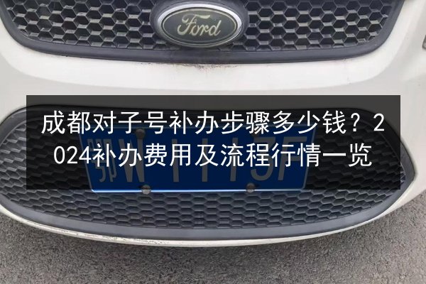 成都对子号补办步骤多少钱？2024补办费用及流程行情一览 第3张