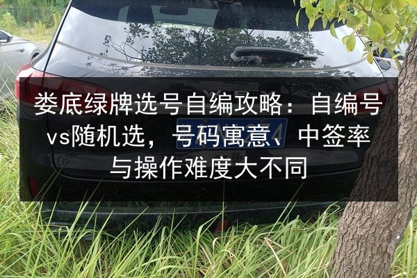 娄底绿牌选号自编攻略：自编号vs随机选，号码寓意、中签率与操作难度大不同 第2张