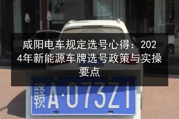 咸阳电车规定选号心得：2024年新能源车牌选号政策与实操要点 第2张