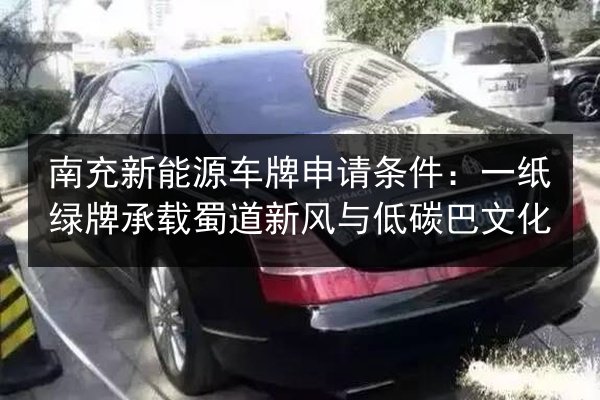 南充新能源车牌申请条件:一纸绿牌承载蜀道新风与低碳巴文化 第2张 南充新能源车牌申请条件:一纸绿牌承载蜀道新风与低碳巴文化 第2张