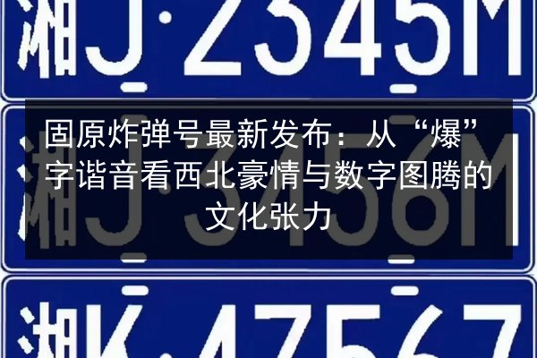 固原炸弹号最新发布:从“爆”字谐音看西北豪情与数字图腾的文化张力 第2张 固原炸弹号最新发布:从“爆”字谐音看西北豪情与数字图腾的文化张力 第2张