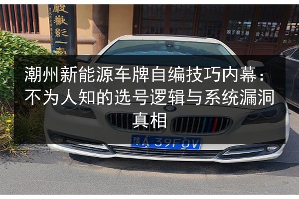 潮州新能源车牌自编技巧内幕：不为人知的选号逻辑与系统漏洞真相
