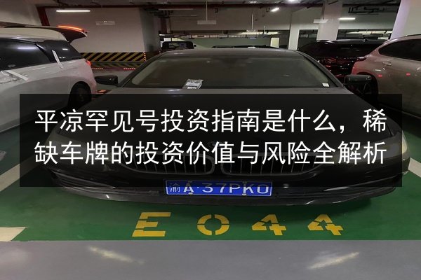 平凉罕见号投资指南是什么，稀缺车牌的投资价值与风险全解析