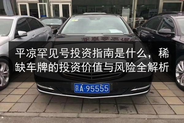 平凉罕见号投资指南是什么，稀缺车牌的投资价值与风险全解析 第3张