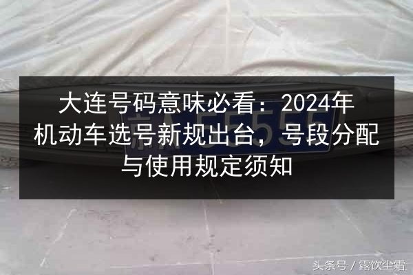 大连号码意味必看:2024年机动车选号新规出台,号段分配与使用规定须知 第3张 大连号码意味必看:2024年机动车选号新规出台,号段分配与使用规定须知 第3张