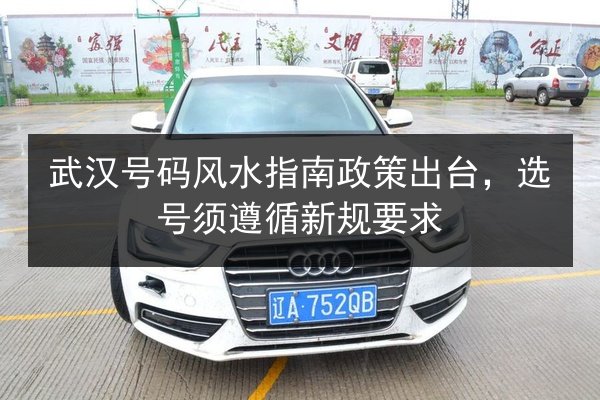 武汉号码风水指南政策出台，选号须遵循新规要求