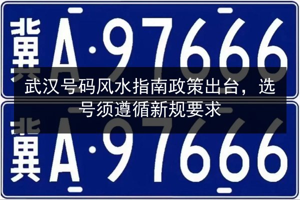 武汉号码风水指南政策出台,选号须遵循新规要求 第2张 武汉号码风水指南政策出台,选号须遵循新规要求 第2张