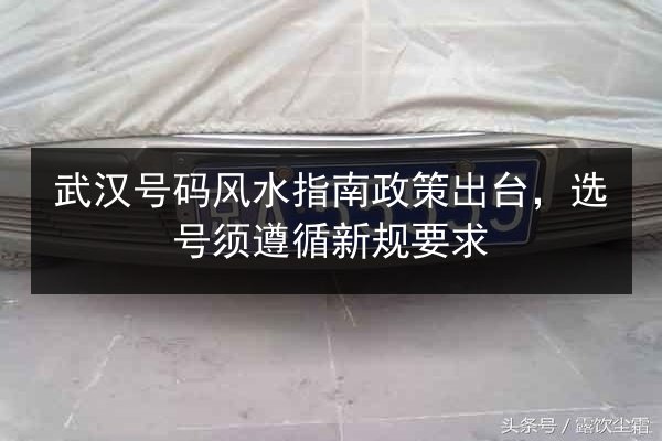 武汉号码风水指南政策出台,选号须遵循新规要求 第3张 武汉号码风水指南政策出台,选号须遵循新规要求 第3张