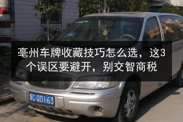 亳州车牌收藏技巧怎么选,这3个误区要避开,别交智商税 第2张 亳州车牌收藏技巧怎么选,这3个误区要避开,别交智商税 第2张