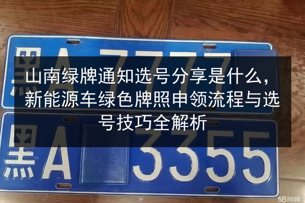 山南绿牌通知选号分享是什么,新能源车绿色牌照申领流程与选号技巧全解析 第2张 山南绿牌通知选号分享是什么,新能源车绿色牌照申领流程与选号技巧全解析 第2张