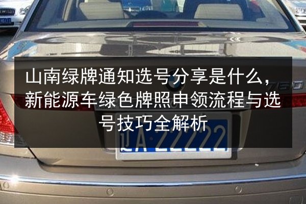 山南绿牌通知选号分享是什么,新能源车绿色牌照申领流程与选号技巧全解析 第3张 山南绿牌通知选号分享是什么,新能源车绿色牌照申领流程与选号技巧全解析 第3张