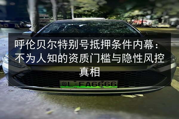 呼伦贝尔特别号抵押条件内幕：不为人知的资质门槛与隐性风控真相