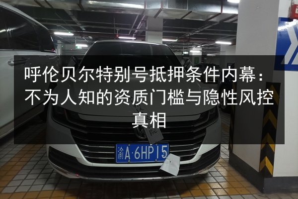 呼伦贝尔特别号抵押条件内幕：不为人知的资质门槛与隐性风控真相 第3张