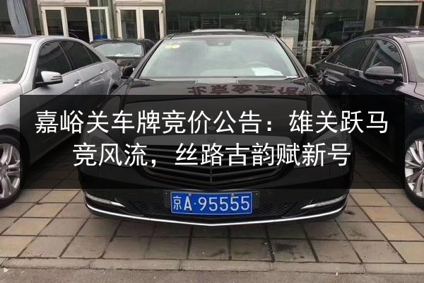 嘉峪关车牌竞价公告：雄关跃马竞风流，丝路古韵赋新号 第2张
