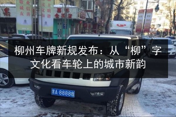 柳州车牌新规发布:从“柳”字文化看车轮上的城市新韵 第3张 柳州车牌新规发布:从“柳”字文化看车轮上的城市新韵 第3张