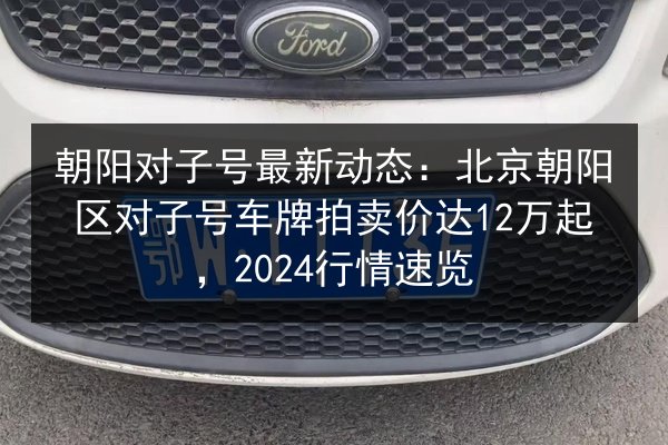 朝阳对子号最新动态：北京朝阳区对子号车牌拍卖价达12万起，2024行情速览