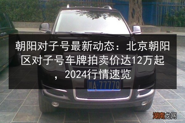朝阳对子号最新动态:北京朝阳区对子号车牌拍卖价达12万起,2024行情速览 第2张 朝阳对子号最新动态:北京朝阳区对子号车牌拍卖价达12万起,2024行情速览 第2张
