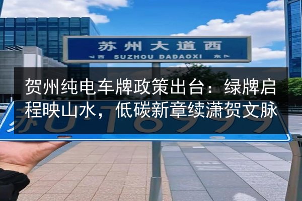 贺州纯电车牌政策出台:绿牌启程映山水,低碳新章续潇贺文脉 第2张 贺州纯电车牌政策出台:绿牌启程映山水,低碳新章续潇贺文脉 第2张