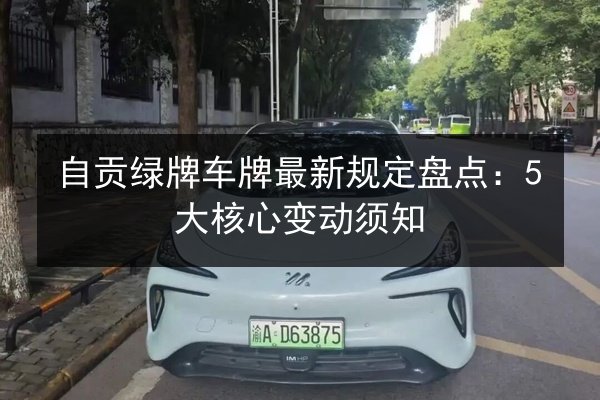 自贡绿牌车牌最新规定盘点：5大核心变动须知 第3张