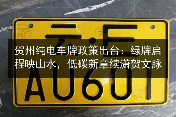 贺州纯电车牌政策出台:绿牌启程映山水,低碳新章续潇贺文脉 第3张 贺州纯电车牌政策出台:绿牌启程映山水,低碳新章续潇贺文脉 第3张