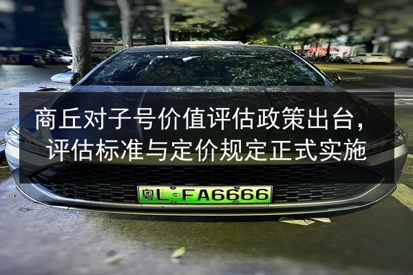 商丘对子号价值评估政策出台，评估标准与定价规定正式实施