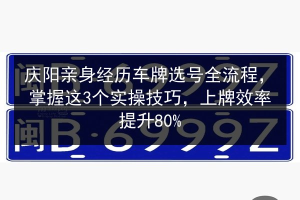 庆阳亲身经历车牌选号全流程，掌握这3个实操技巧，上牌效率提升80% 第3张