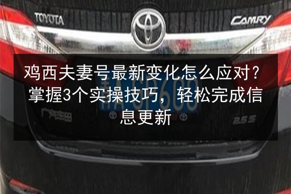 鸡西夫妻号最新变化怎么应对？掌握3个实操技巧，轻松完成信息更新