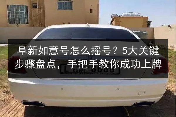 阜新如意号怎么摇号？5大关键步骤盘点，手把手教你成功上牌 第3张