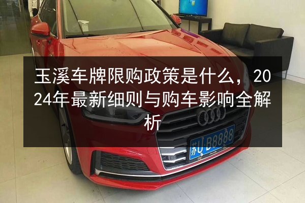 玉溪车牌限购政策是什么，2024年最新细则与购车影响全解析